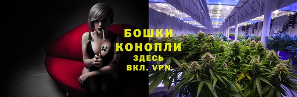 гидра Надым